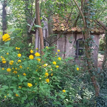 Apartment Ehemalige Revierfoersterei 