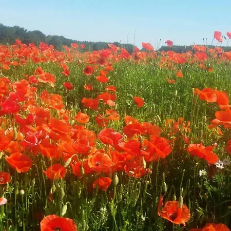 Ehemalige Revierfoersterei 